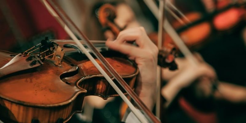 Aptitud: Definiciones, variedades, ilustraciones y diferencias con actitud (1)