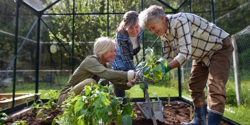 Aptitud: Definiciones, variedades, ilustraciones y diferencias con actitud (4)